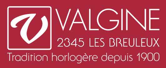 Logo - Valgine
